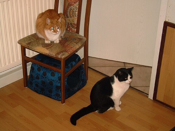 Karlo_u.Sammy_2006.jpg  