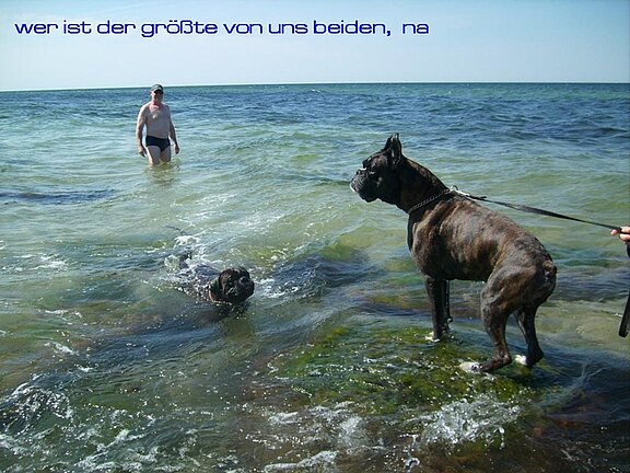 07.JPG  